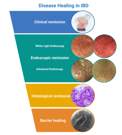 4477-202503041713211107