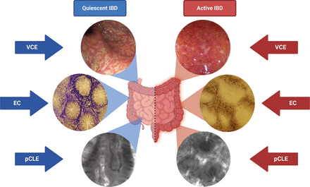 4477-202503041714029603