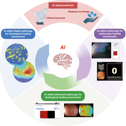 4477-202503041714255530